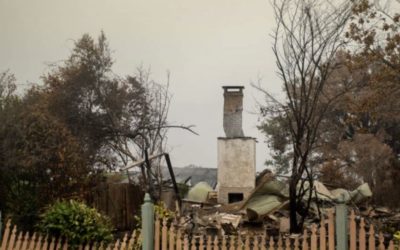 Rebuilding Bushfire Community