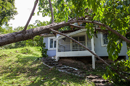 storm damage insurance claims